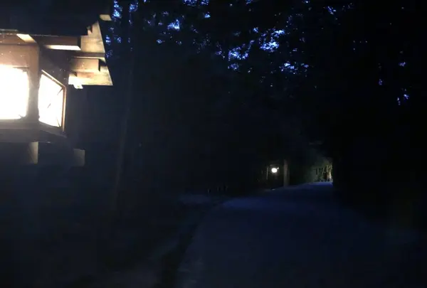 伊勢神宮外宮（豊受大神宮）の写真・動画_image_313649