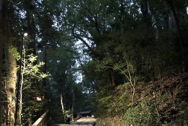 伊勢神宮外宮（豊受大神宮）の写真・動画_image_313651