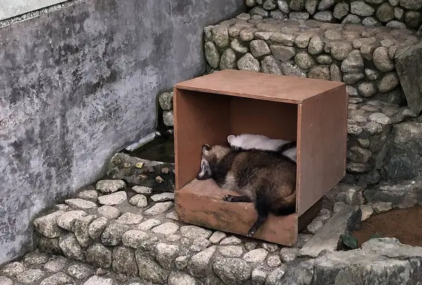 わんぱーくこうちの写真・動画_image_313714