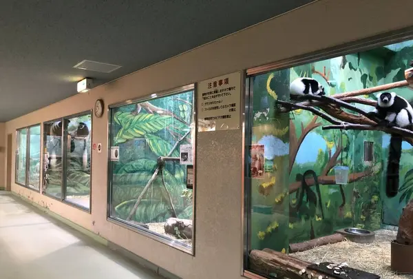 わんぱーくこうちの写真・動画_image_313715