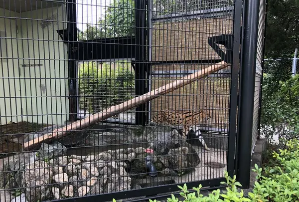 わんぱーくこうちの写真・動画_image_313724