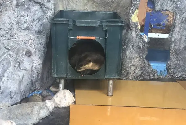 桂浜水族館の写真・動画_image_313729