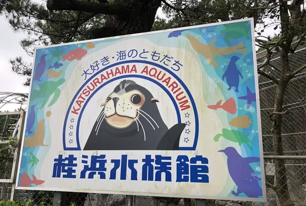 桂浜水族館の写真・動画_image_313738