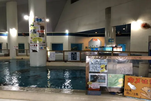 桂浜水族館の写真・動画_image_313740