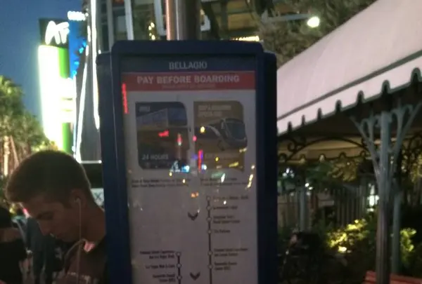 Las Vegas Strip（ストリップ）の写真・動画_image_313876