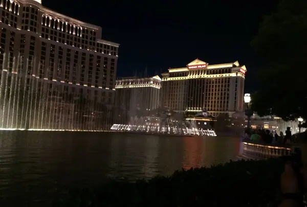 Bellagio Las Vegas（ベラージオ）の写真・動画_image_313887