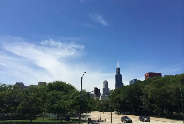Chicago Trolley & Double Decker Coの写真・動画_image_313923