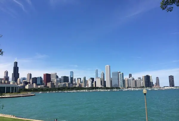 Chicago Trolley & Double Decker Coの写真・動画_image_313924