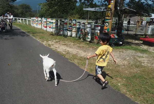 中津川市ふれあい牧場の写真・動画_image_314284