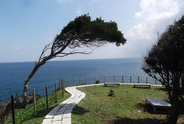 珠洲岬（聖域の岬）の写真・動画_image_314331