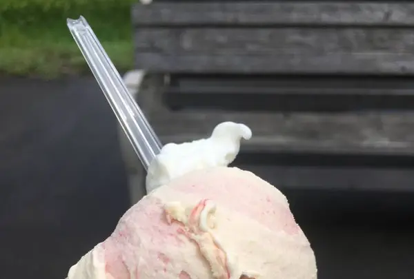 マルガージェラート 能登本店の写真・動画_image_314353