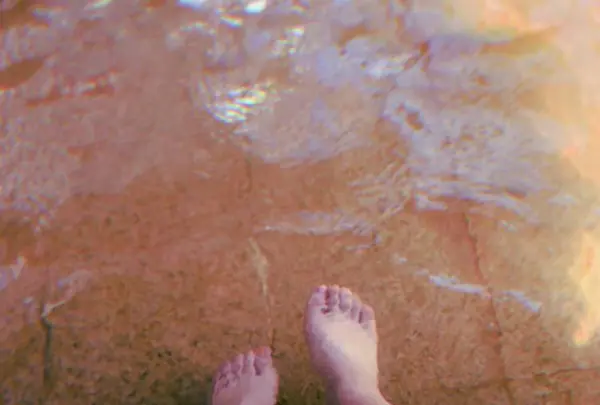 家康の湯の写真・動画_image_314382