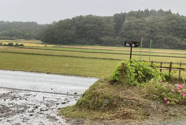 こおひい工房 珈音の写真・動画_image_314413