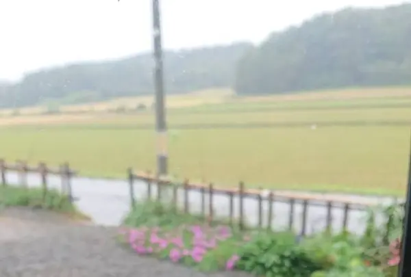 こおひい工房 珈音の写真・動画_image_314439