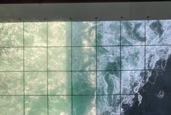 渦の道の写真・動画_image_314622