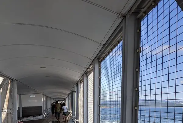 渦の道の写真・動画_image_314623