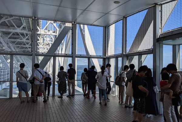 渦の道の写真・動画_image_314624