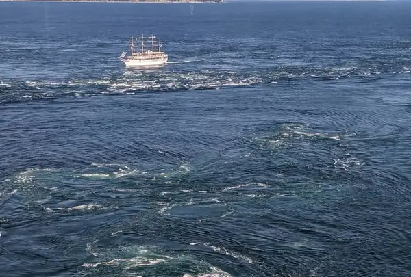 渦の道の写真・動画_image_314627