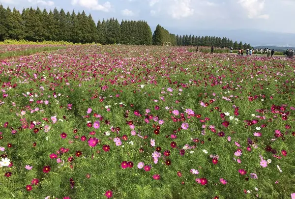 生駒高原の写真・動画_image_314724
