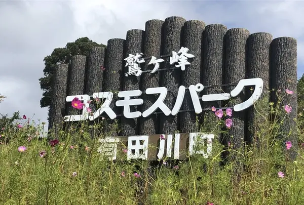 鷲ヶ峰コスモスパークの写真・動画_image_314971