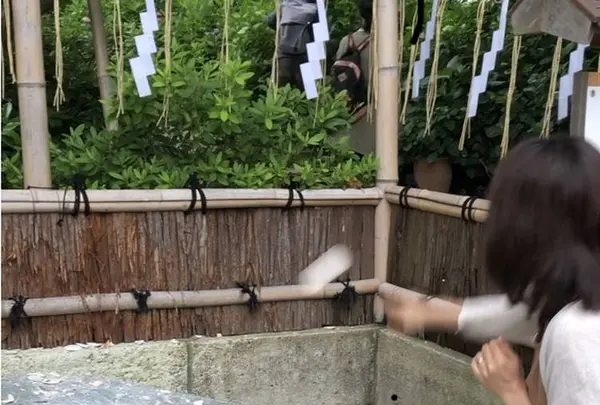 葛原岡神社の写真・動画_image_315132