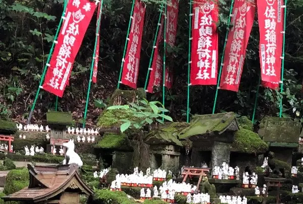佐助稲荷神社の写真・動画_image_315151