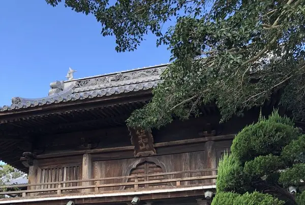 四国霊場第１番札所 霊山寺（りょうぜんじ）の写真・動画_image_315320