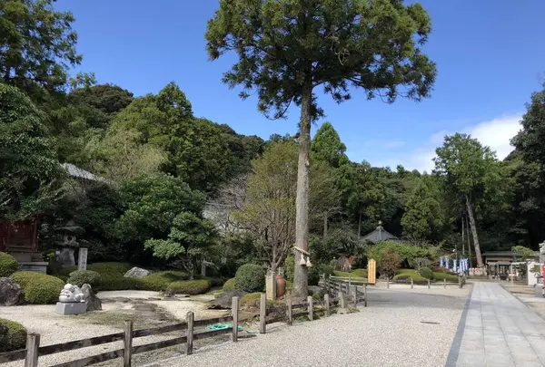 第２番札所極楽寺の写真・動画_image_315327