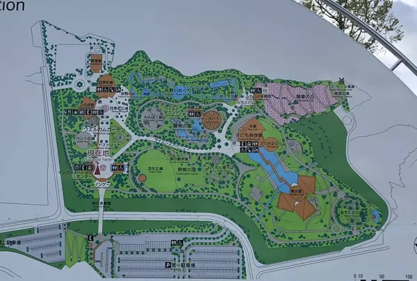 あすたむらんど徳島の写真・動画_image_315338