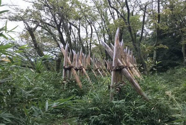 関ヶ原の写真・動画_image_315823