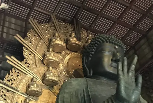 奈良駅の写真・動画_image_315836