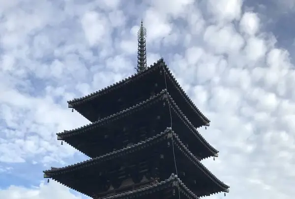 法隆寺の写真・動画_image_315839