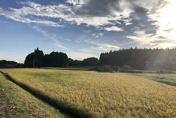 那須塩原駅の写真・動画_image_315982