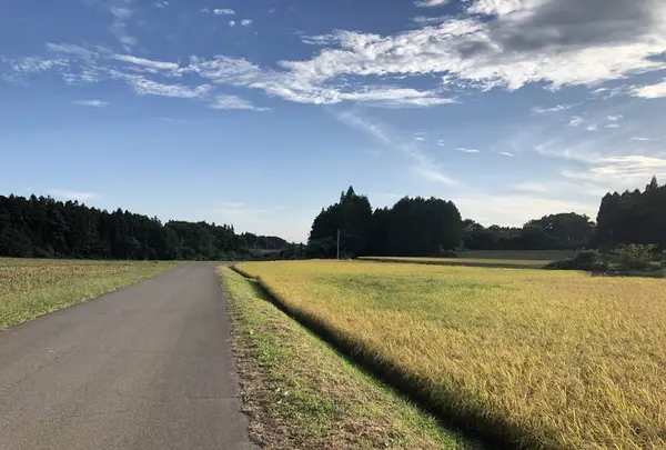 那須塩原駅の写真・動画_image_315985