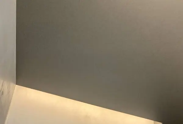 TeaTockの写真・動画_image_316153