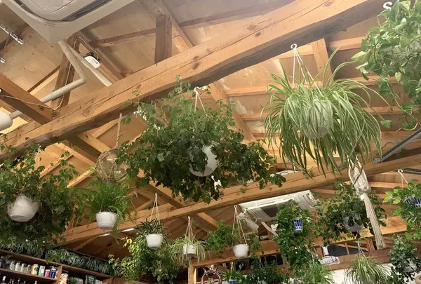 Brighton Cafe（ブライトンカフェ）の写真・動画_image_316181