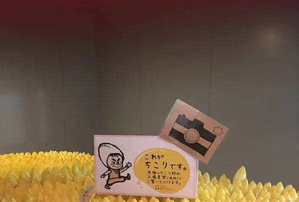 ちこり村の写真・動画_image_316507