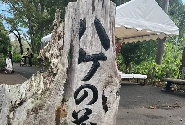 府中市郷土の森博物館の蝋梅の写真・動画_image_316826