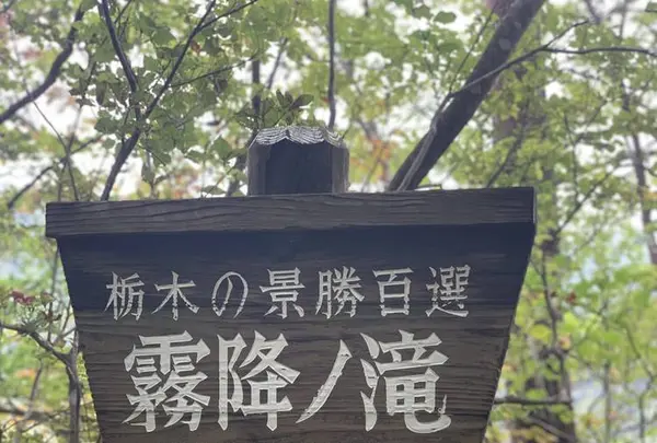 霧降の滝の写真・動画_image_317073