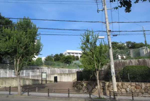 神戸大学百年記念館 六甲ホールの写真・動画_image_317083