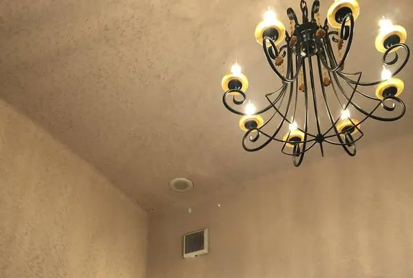 Saluteの写真・動画_image_317115