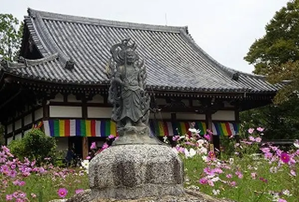 般若寺の写真・動画_image_317293