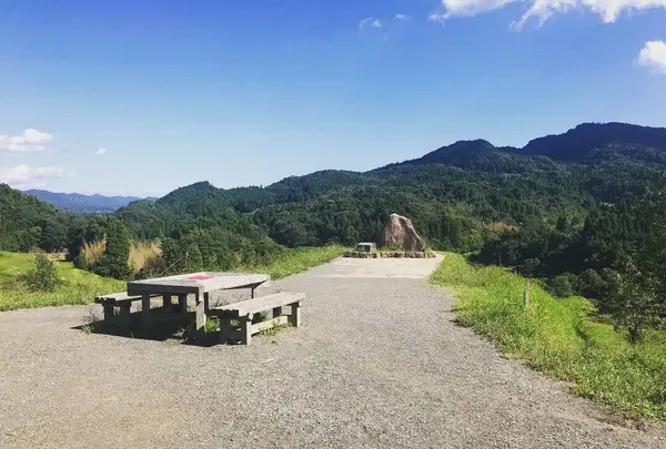 大山千枚田の写真・動画_image_317451