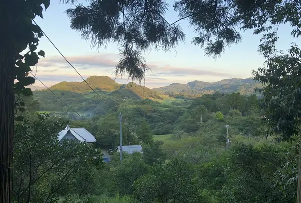 Cafe SASAYAの写真・動画_image_317491