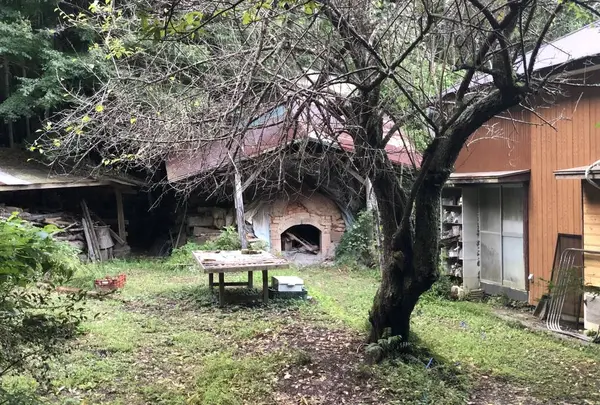 Cafe SASAYAの写真・動画_image_317493