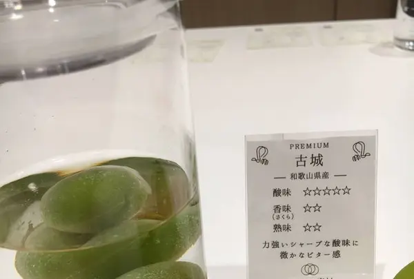 梅体験専門店 蝶矢の写真・動画_image_317872