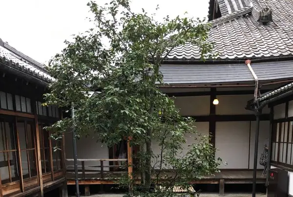 建仁寺の写真・動画_image_317899