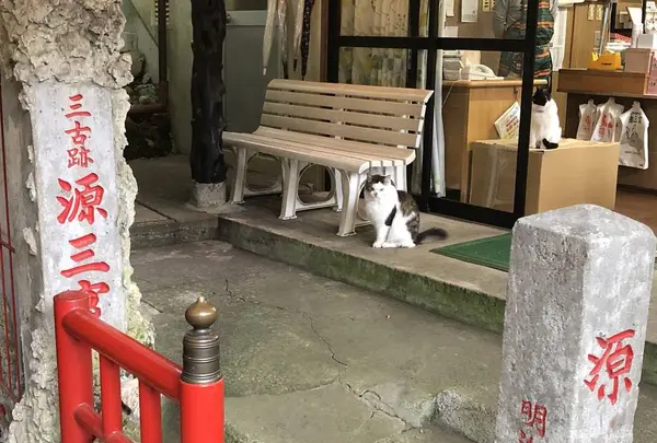 源三窟の写真・動画_image_318090