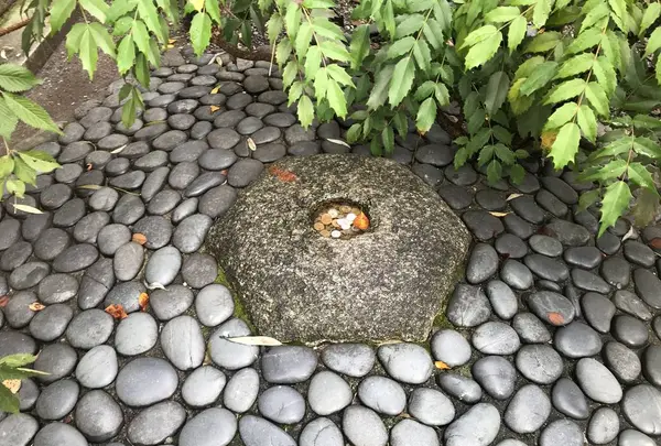六角堂の写真・動画_image_318149