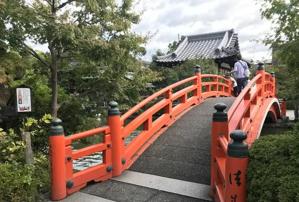 神泉苑の写真・動画_image_318180
